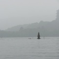 IMG_5588.JPG